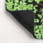 Bullfrog (Pyxicephalus adspersus) in Entenkraut Mousepad (Ecke)