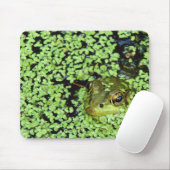 Bullfrog (Pyxicephalus adspersus) in Entenkraut Mousepad (Mit Mouse)