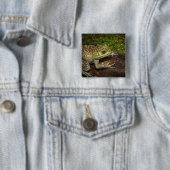 Bullfrog, Rana catesbeiana Button (Beispiel)
