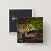 Bullfrog, Rana catesbeiana Button (Vorne & Hinten)