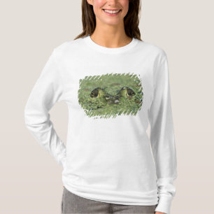 Bullfrog, Rana catesbeiana, erwachsen in Entenkrau T-Shirt