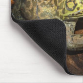 Bullfrog, Rana catesbeiana Mousepad (Ecke)