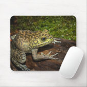 Bullfrog, Rana catesbeiana Mousepad (Mit Mouse)