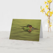 Bullfrog Schwimmen Faltkarte Karte (Gelbe Blume)