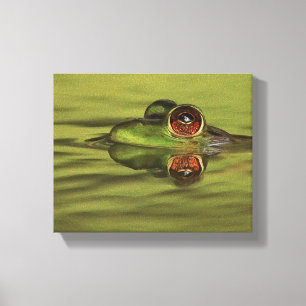 Bullfrog Schwimmen Leinwand drucken