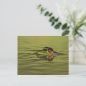 Bullfrog Schwimmen Postkarte (Stehend Vorderseite)