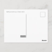 Bullfrog Schwimmen Postkarte (Rückseite)