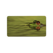 Bullfrog Swimming Address Labels Adressaufkleber (Vorne)