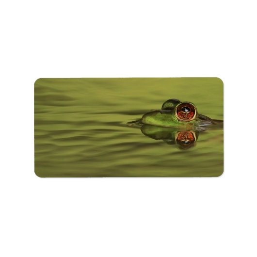 Bullfrog Swimming Address Labels Adressaufkleber (Vorne)
