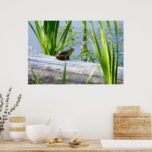 Bullfrosch Bliss Poster (Küche)