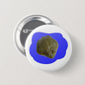 Bullfrosch Button (Vorne & Hinten)