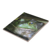 Bullfrosch Foto Tile Fliese (Seite)