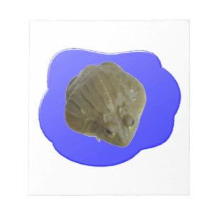 Bullfrosch im Pond Notepad Notizblock