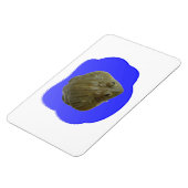 Bullfrosch in Pond Premium Magnet (Linke Seite)