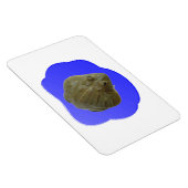 Bullfrosch in Pond Premium Magnet (Rechte Seite)