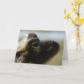 Bullfrosch Karte (Gelbe Blume)