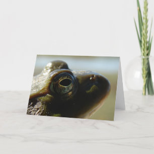 Bullfrosch Karte