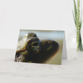 Bullfrosch Karte (Vorderseite)