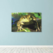 Bullfrosch. Leinwanddruck (Insitu (Holzboden))