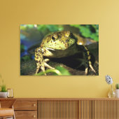 Bullfrosch. Leinwanddruck (Insitu (Wohnzimmer))