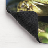 Bullfrosch. Mousepad (Ecke)