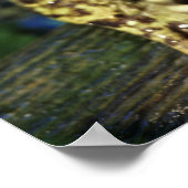 Bullfrosch. Poster (Ecke)