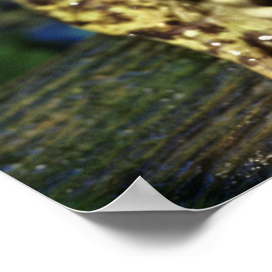 Bullfrosch. Poster (Ecke)