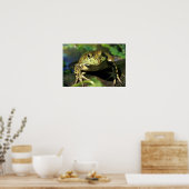 Bullfrosch. Poster (Küche)