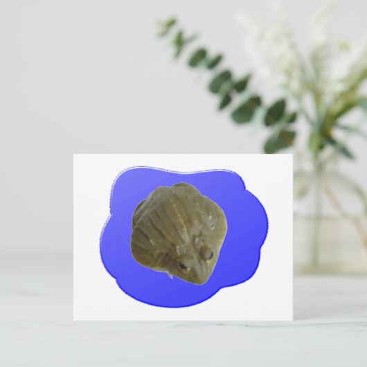 Bullfrosch Postkarte (Stehend Vorderseite)