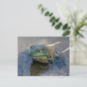 Bullfrosch Postkarte (Stehend Vorderseite)