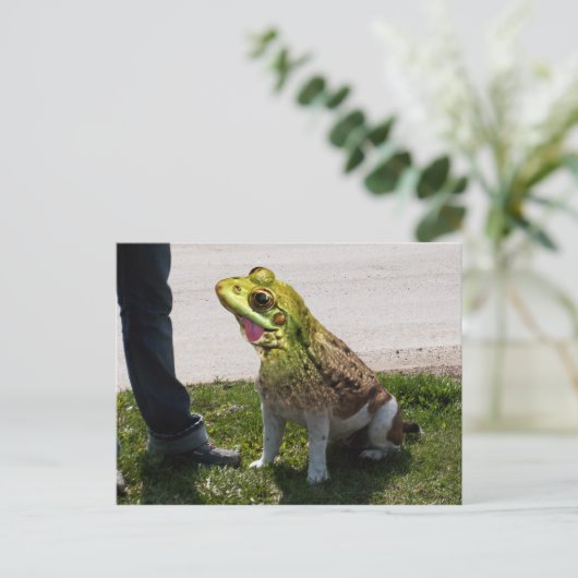 Bullfrosch Postkarte (Stehend Vorderseite)