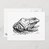 Bullfrosch Postkarte (Vorne/Hinten)