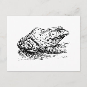 Bullfrosch Postkarte