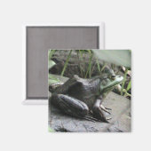 Bullfrosch-Seitenansicht Magnet (Vorderseite/Rückseite)