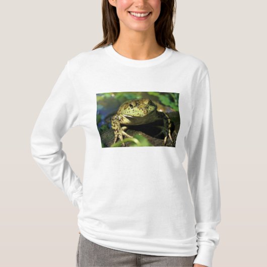 Bullfrosch. T-Shirt (Vorderseite)