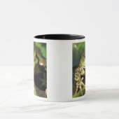 Bullfrosch. Tasse (Zentrum)