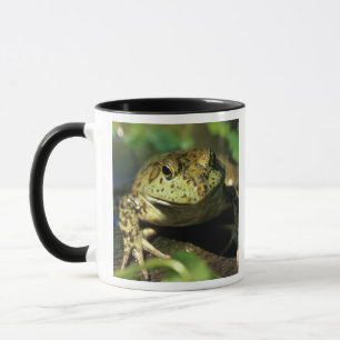 Bullfrosch. Tasse