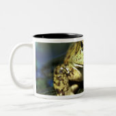 Bullfrosch. Zweifarbige Tasse (Links)