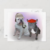 Bullhunde aus England und Frankreich Postkarte (Vorne/Hinten)