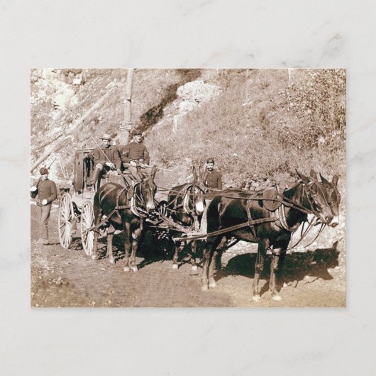 Bullion Bühne Coach Vintag Postkarte (Vorderseite)