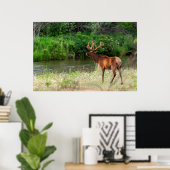Bulllech in der Nationalen Bison Range, Montana 2 Poster (Heimbüro)