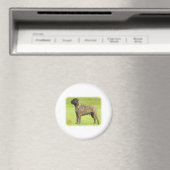 Bullmastiff 9R071D-077 Magnet (In Situ (Geschirrspüler))