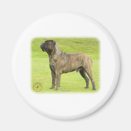 Bullmastiff 9R071D-077 Magnet (Vorne)