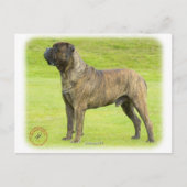 Bullmastiff 9R071D-077 Postkarte (Vorderseite)