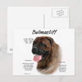 Bullmastiff (Bindle) History Design Postkarte (Vorne/Hinten)
