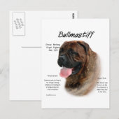 Bullmastiff (Bindle) History Design Postkarte (Vorne/Hinten)