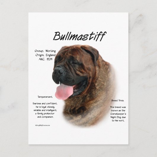 Bullmastiff (Bindle) History Design Postkarte (Vorderseite)