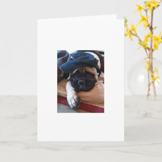 Bullmastiff es tut mir leid Karte oder Einladung (Gelbe Blume)