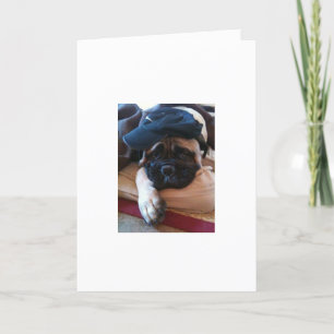 Bullmastiff es tut mir leid Karte oder Einladung