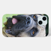 Bullmastiff Face Case-Mate iPhone Hülle (Rückseite (Horizontal))